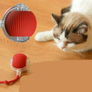 Brinquedo interativo para Gatos FelineBall
